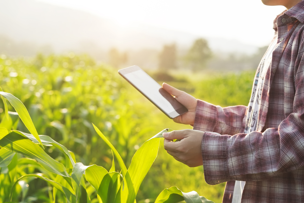 La transformación de la agricultura en la era digital